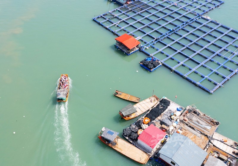 DJI_0033.jpg