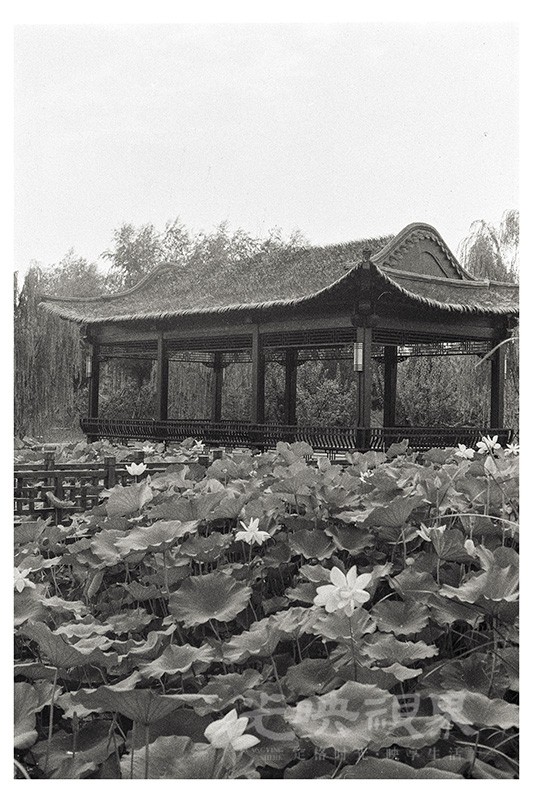 Untitled (8).jpg