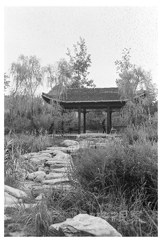 Untitled (10).jpg