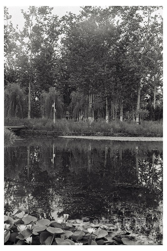 Untitled (3).jpg