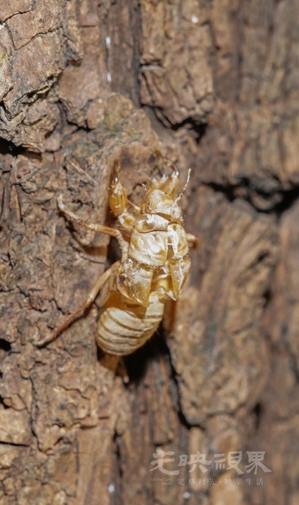 DXA01525.jpg