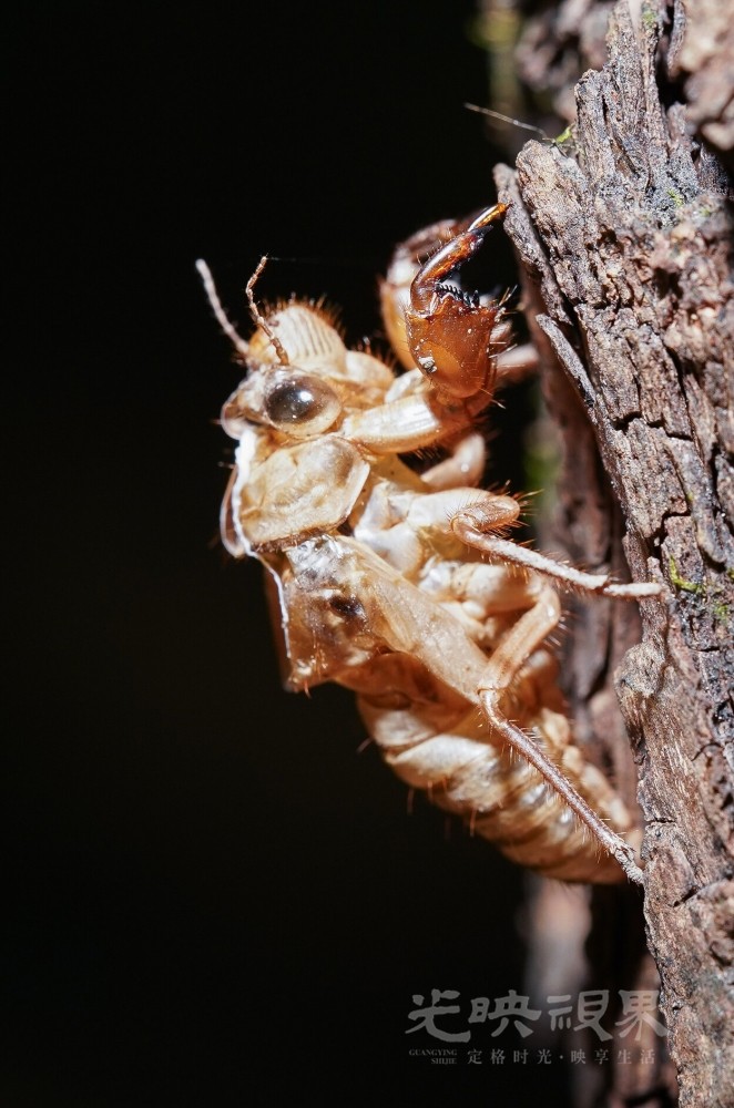 DXA01527.jpg