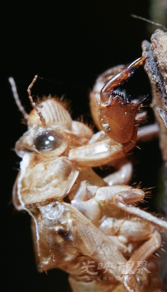 DXA01540.jpg