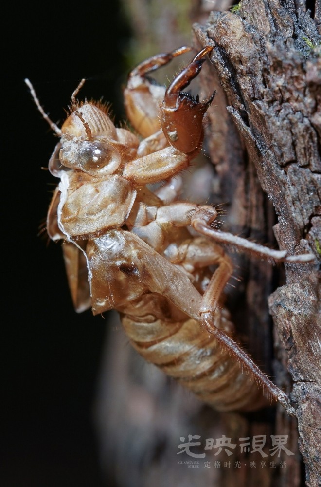 DXA01555.jpg