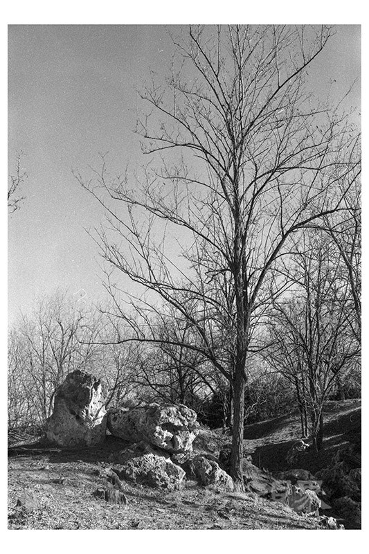 Untitled (13).jpg
