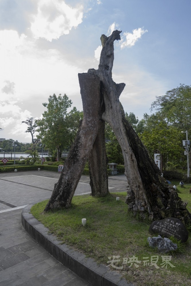 DSC_2500_1.JPG
