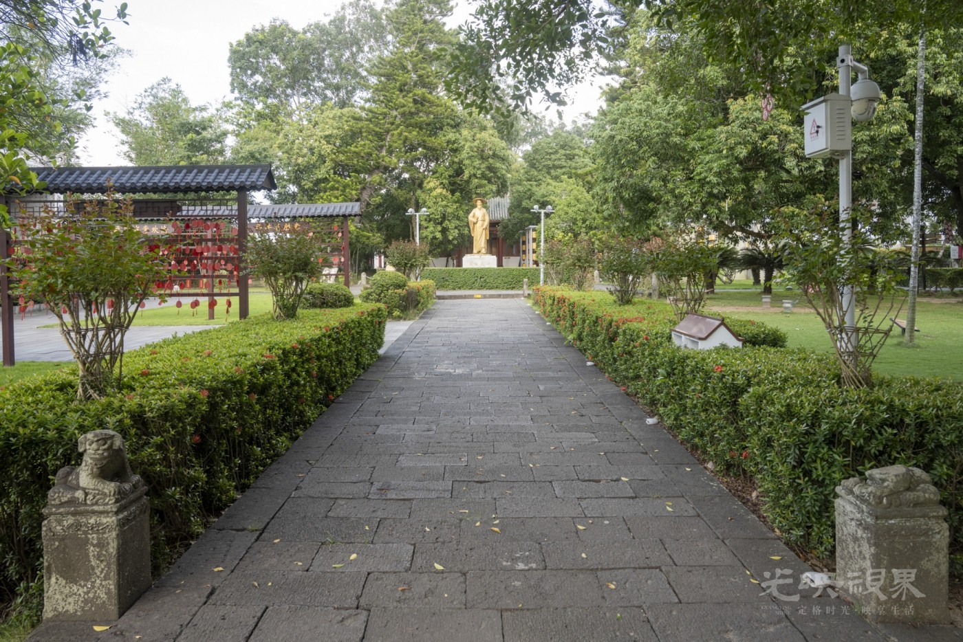 DSC_2502_1.JPG