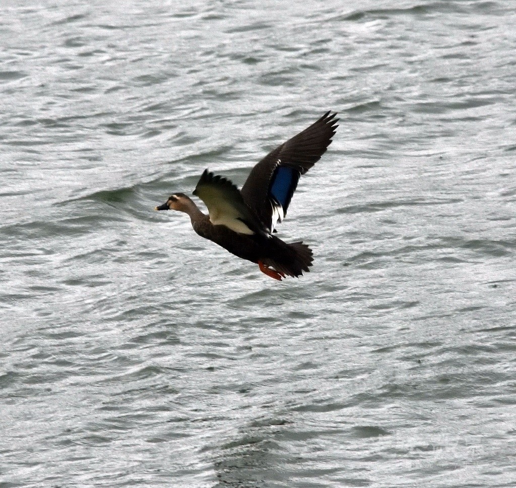 D72_3289.jpg