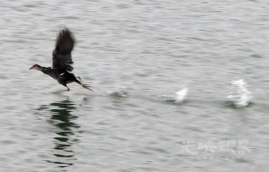 IMG_9751.JPG