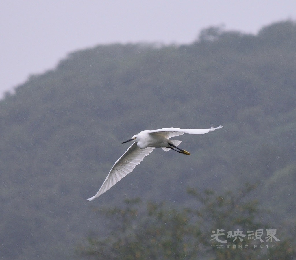 DSC_8086.JPG