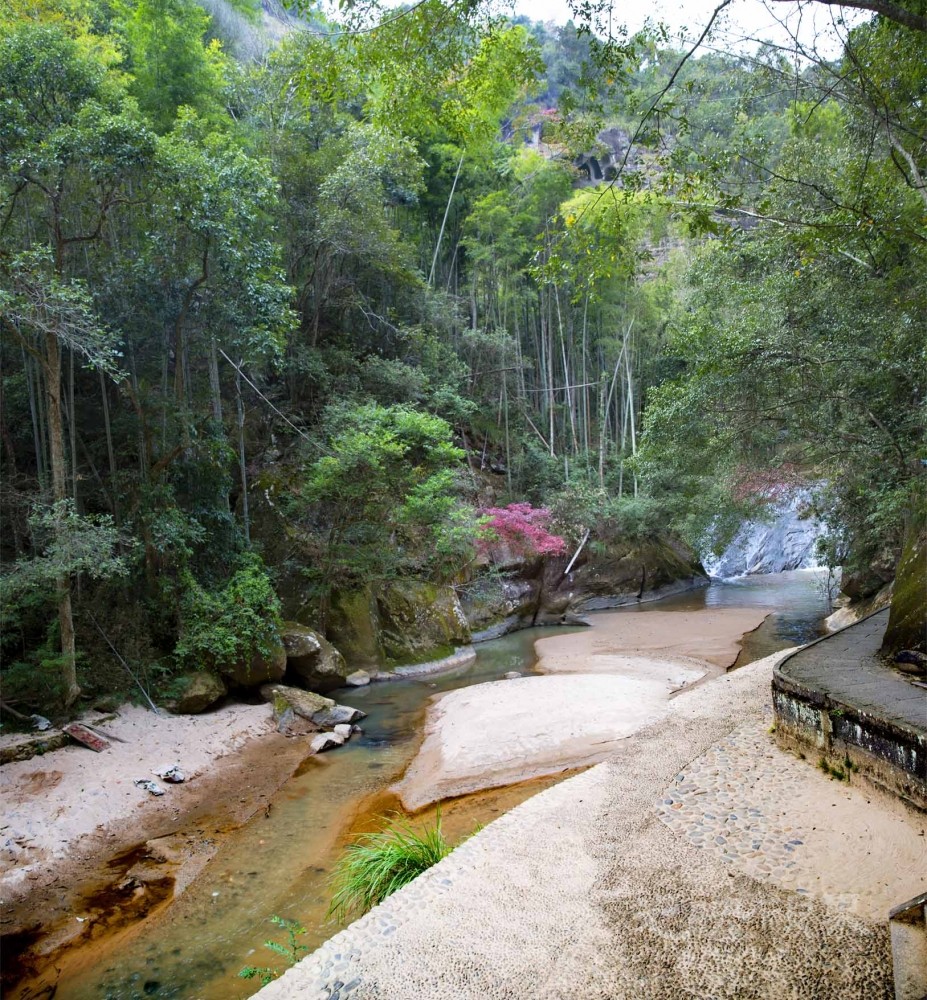 20201101福建邵武大金湖155.jpg