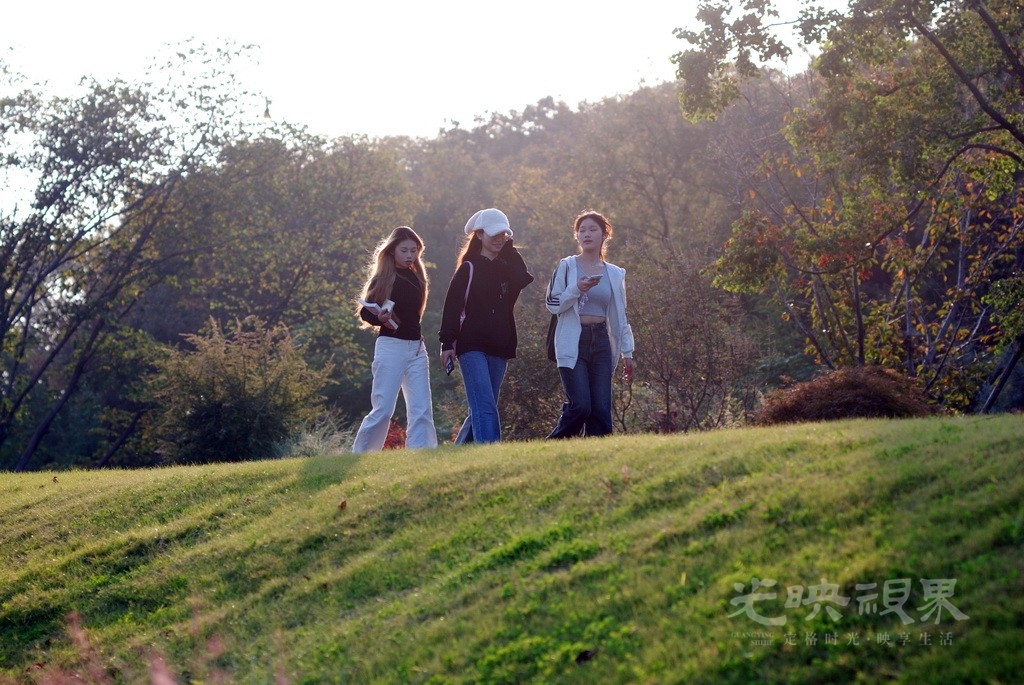 DSC_4490.jpg
