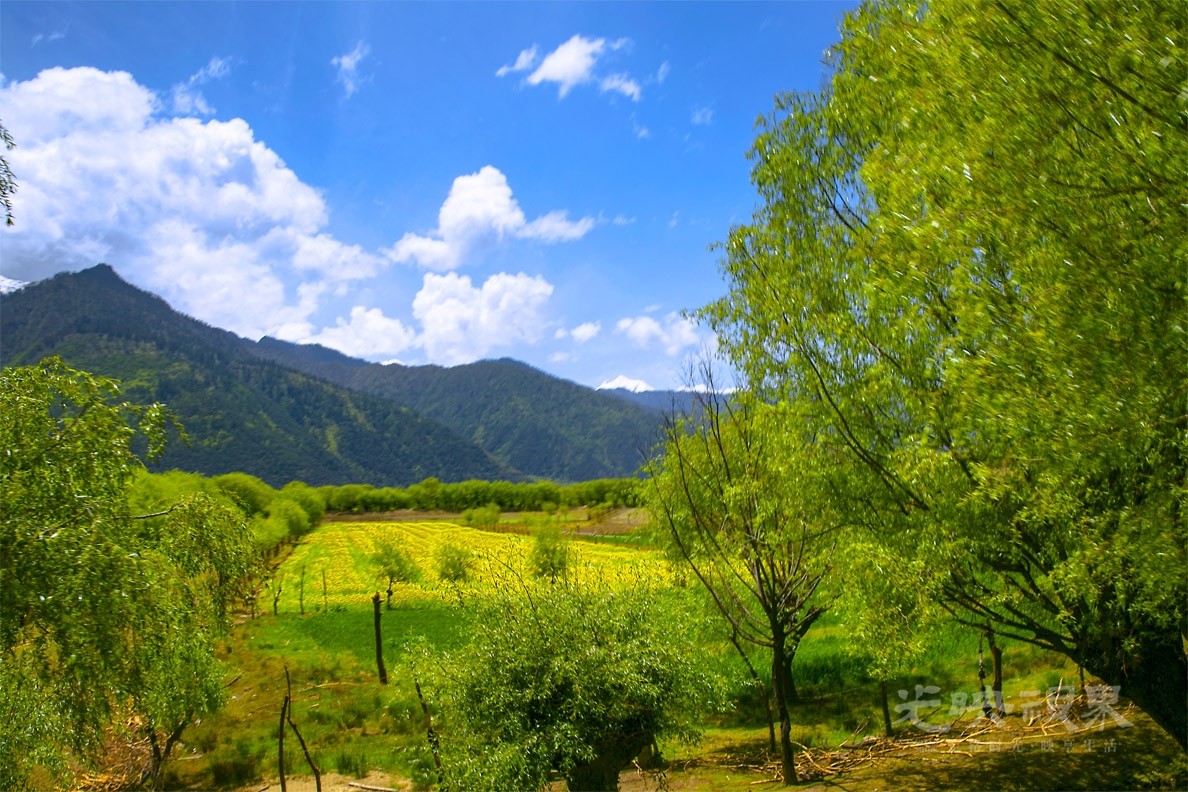 20180512林芝雅鲁藏布江大峡谷013.jpg