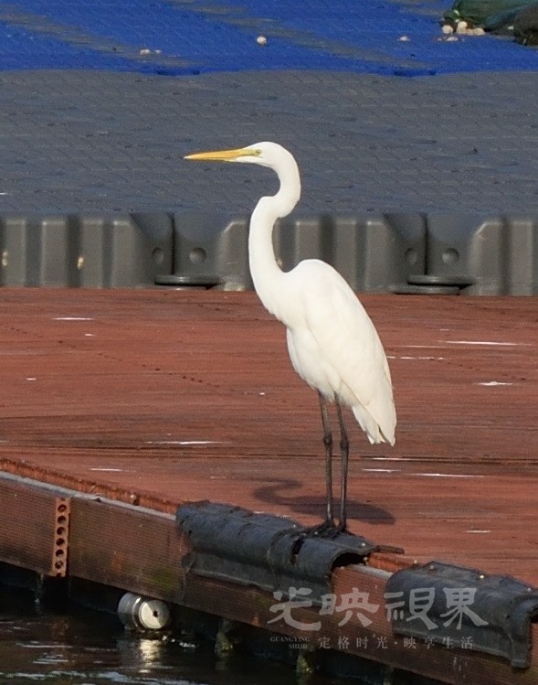 DSC_8316.JPG