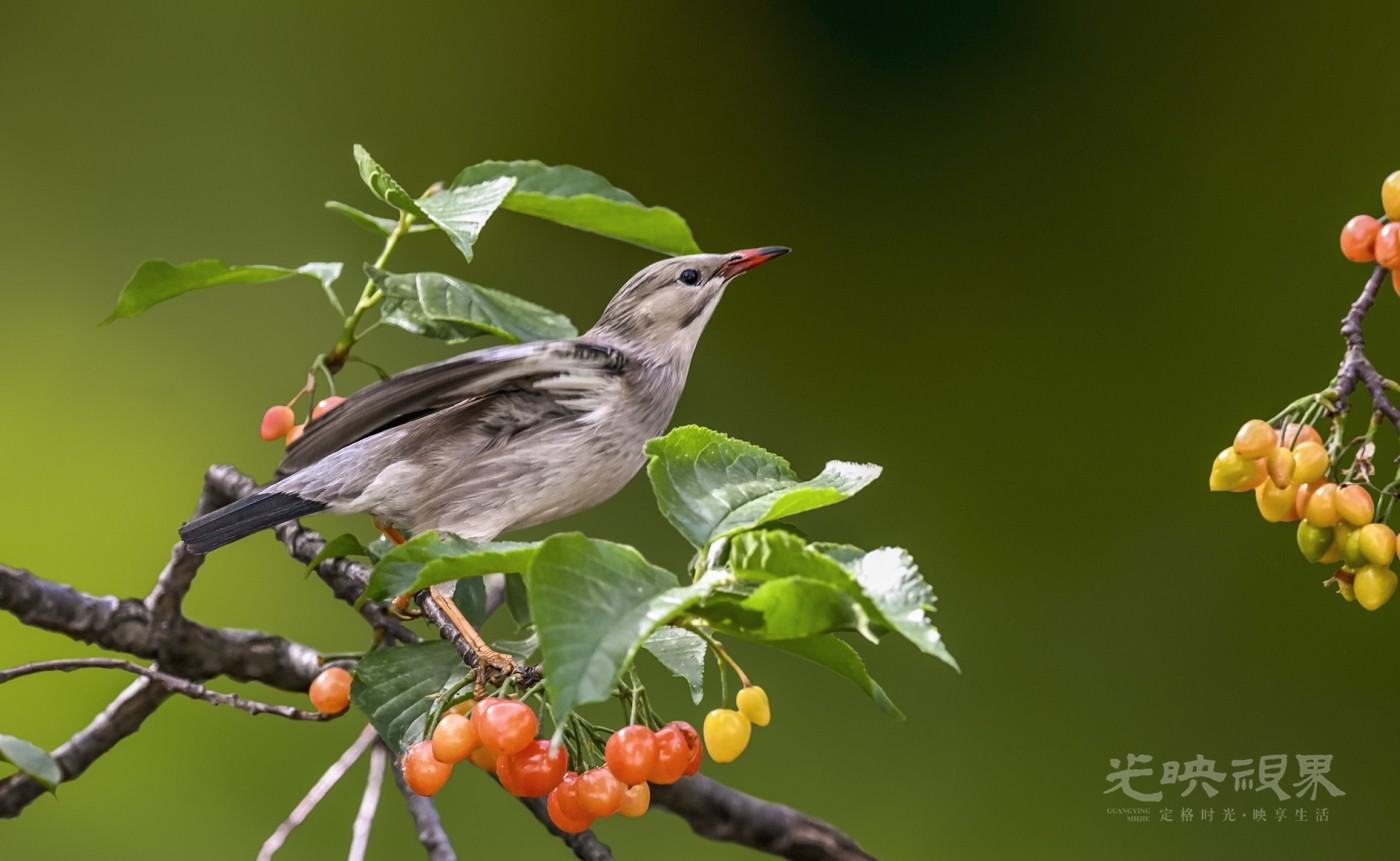 DSC_2573-2.jpg