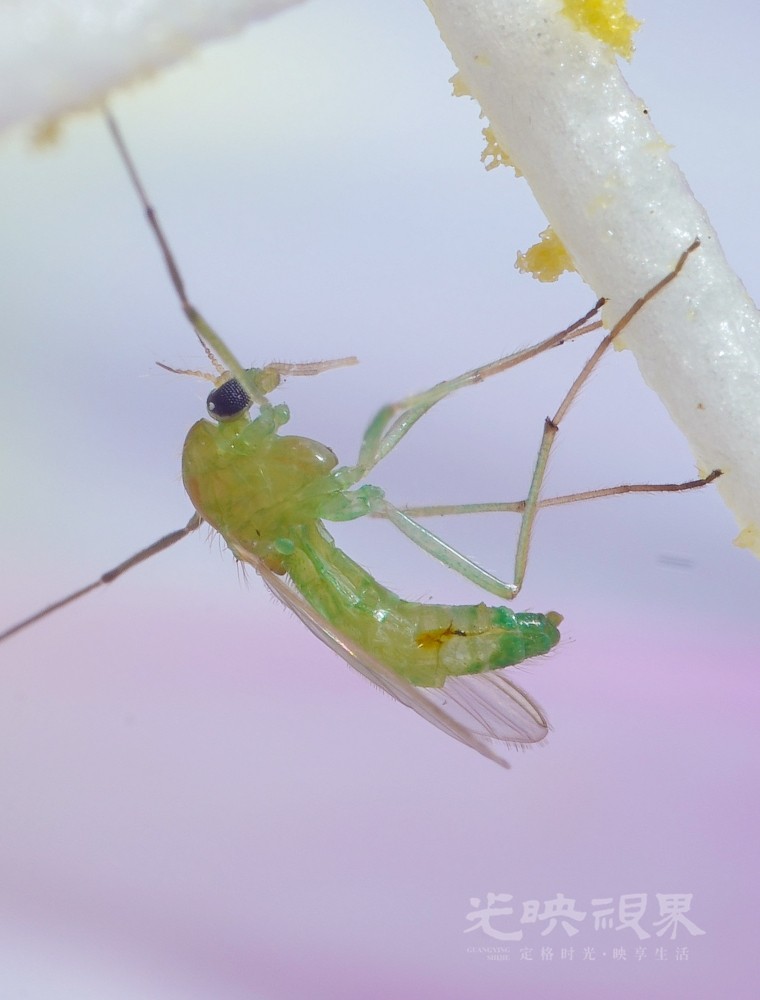 DXA09860.jpg
