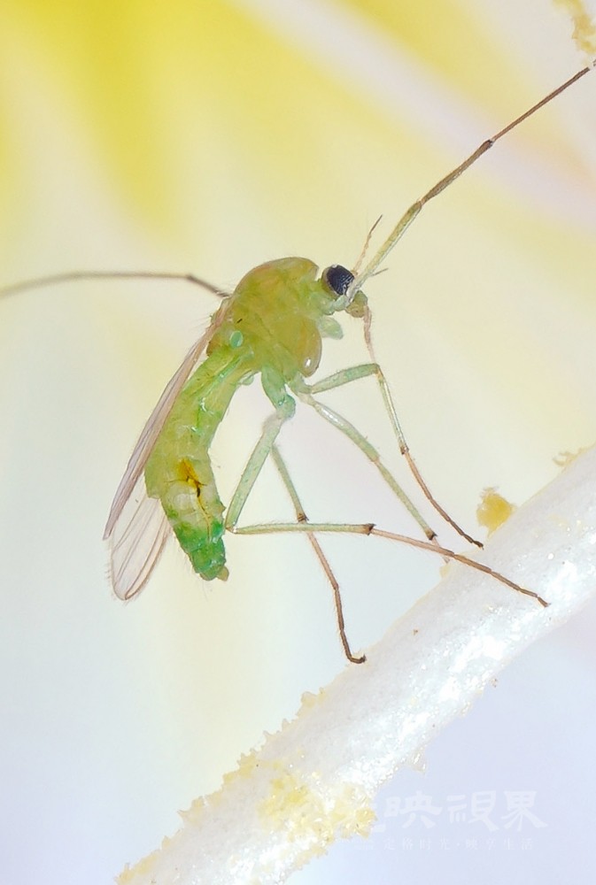 DXA09966.jpg