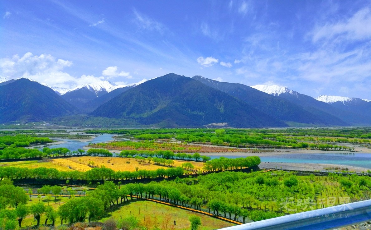 20180512西藏林芝雅尼湿地020.jpg