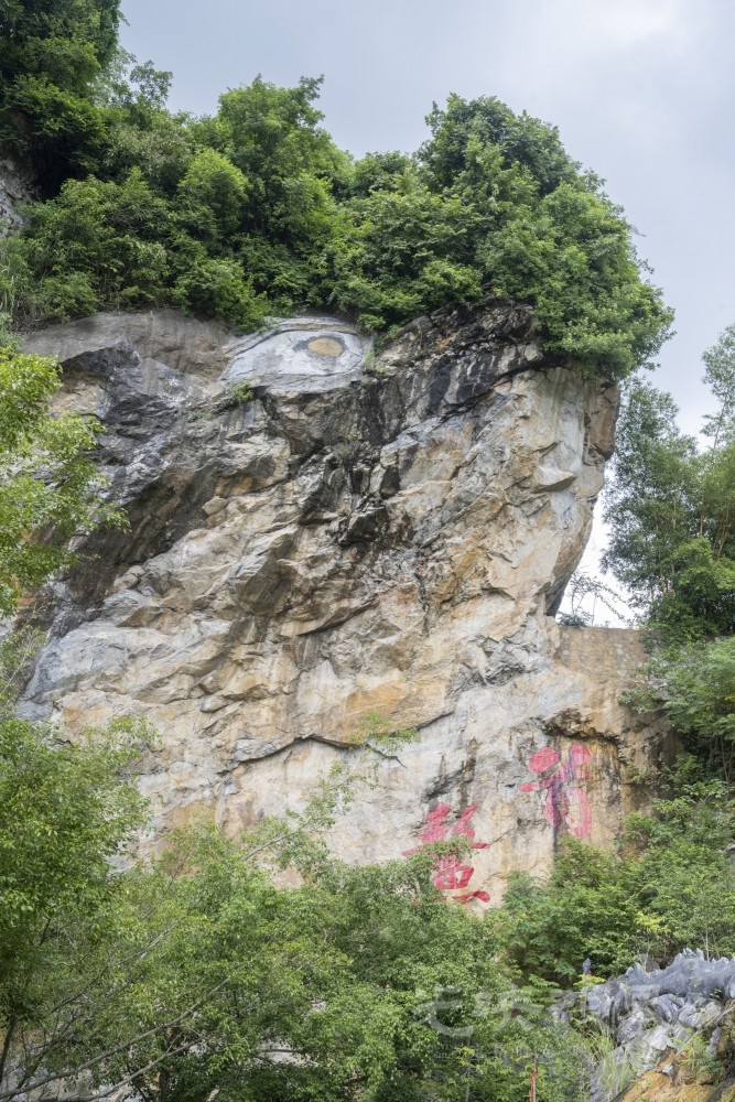 DSC_2821_1.JPG