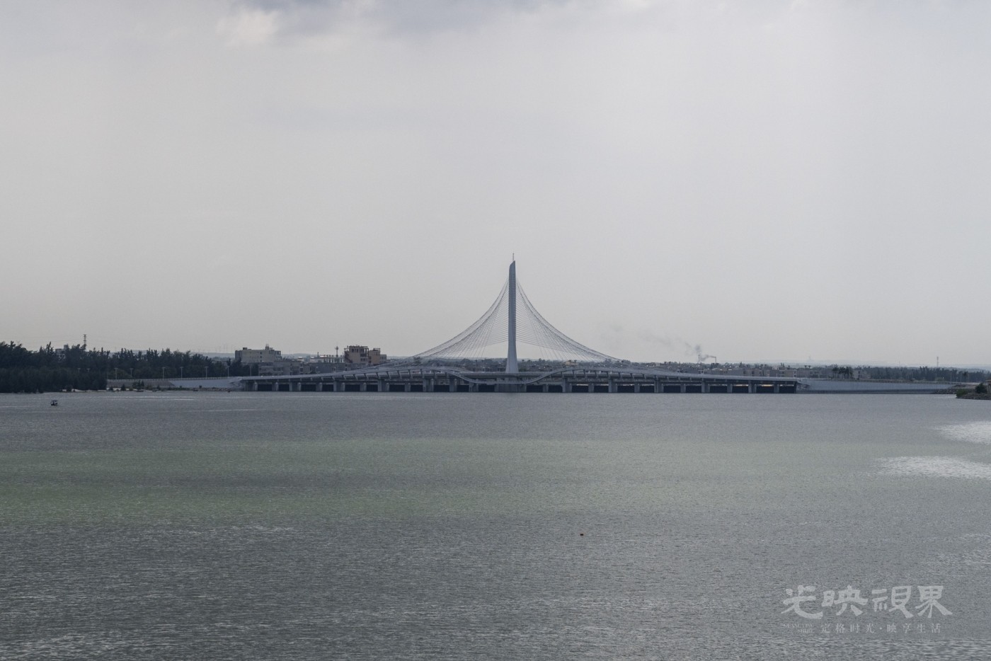DSC_2460_1.JPG