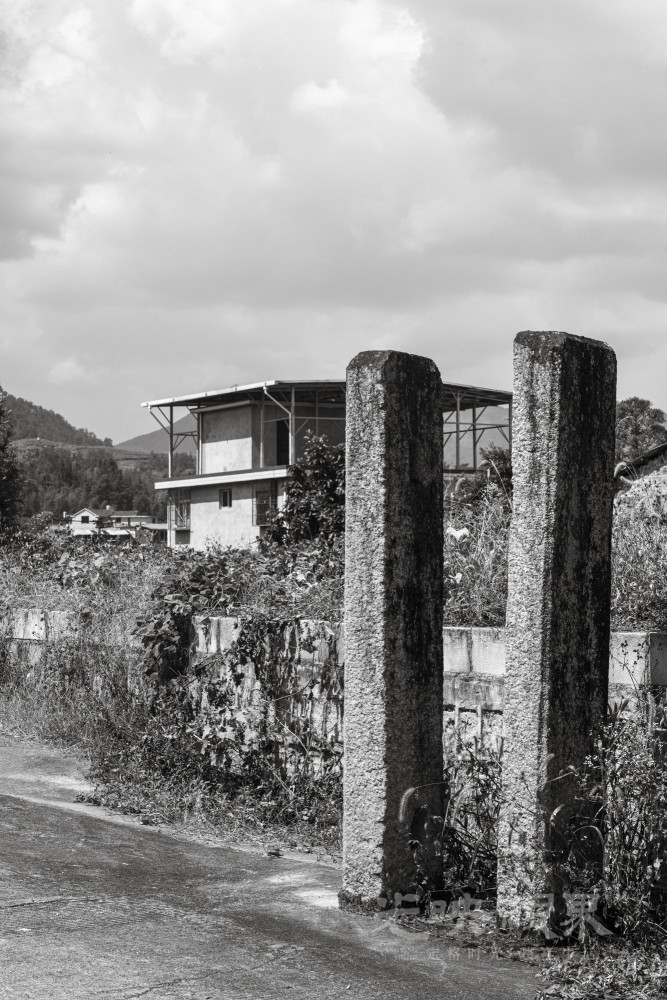 DSC_2855_1_1.JPG