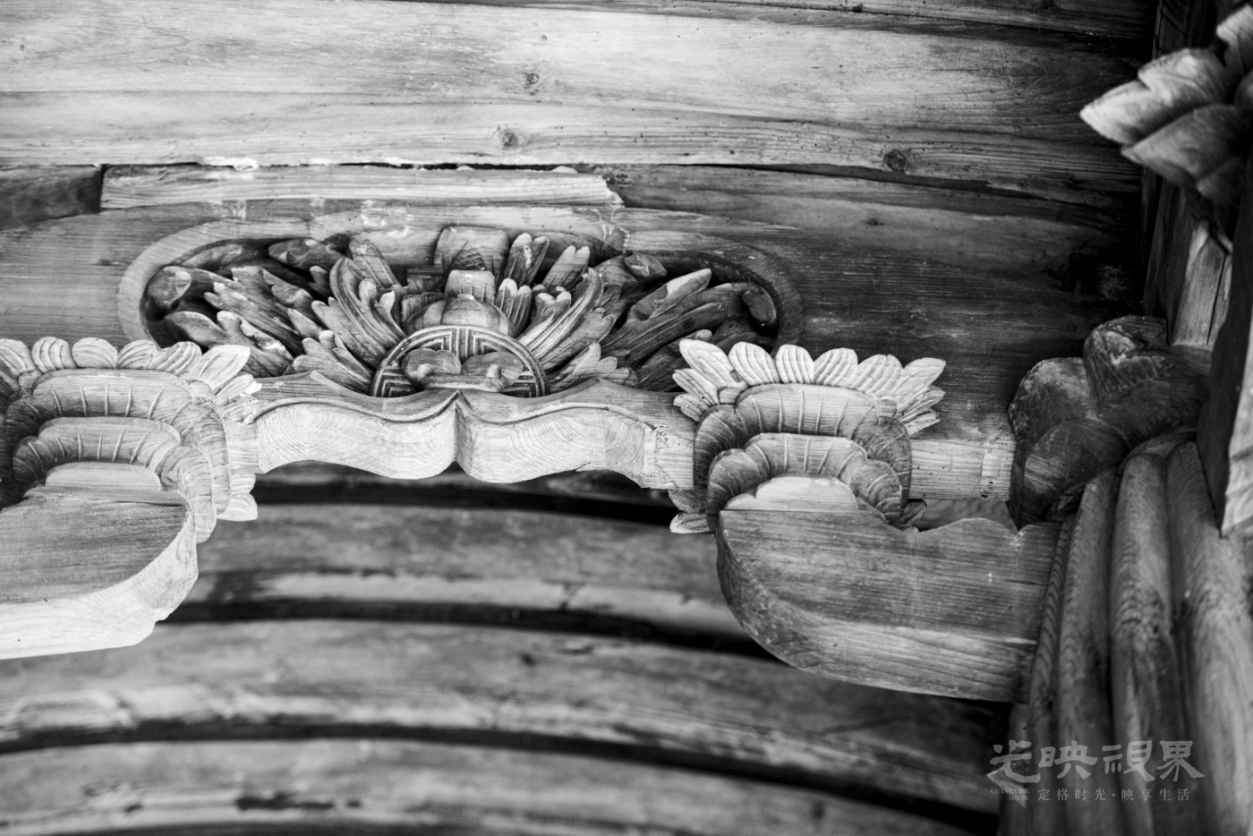 _DSC0951_1_1.JPG