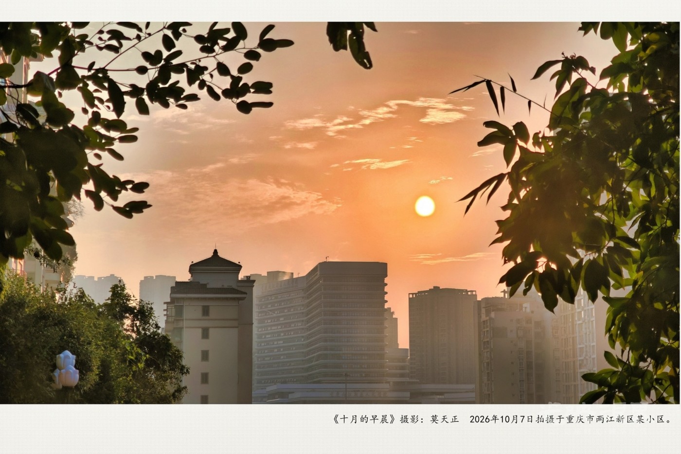 IMG_20261007_073245_副本_副本.jpg