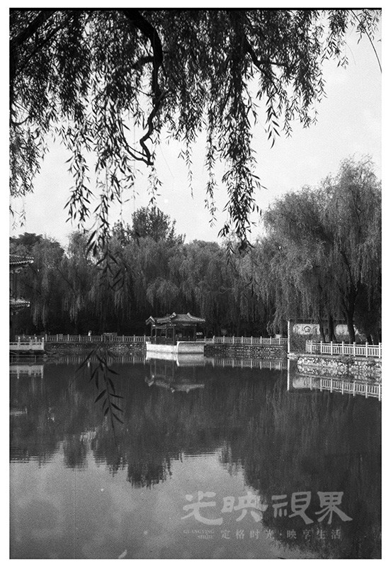 Untitled (26).jpg