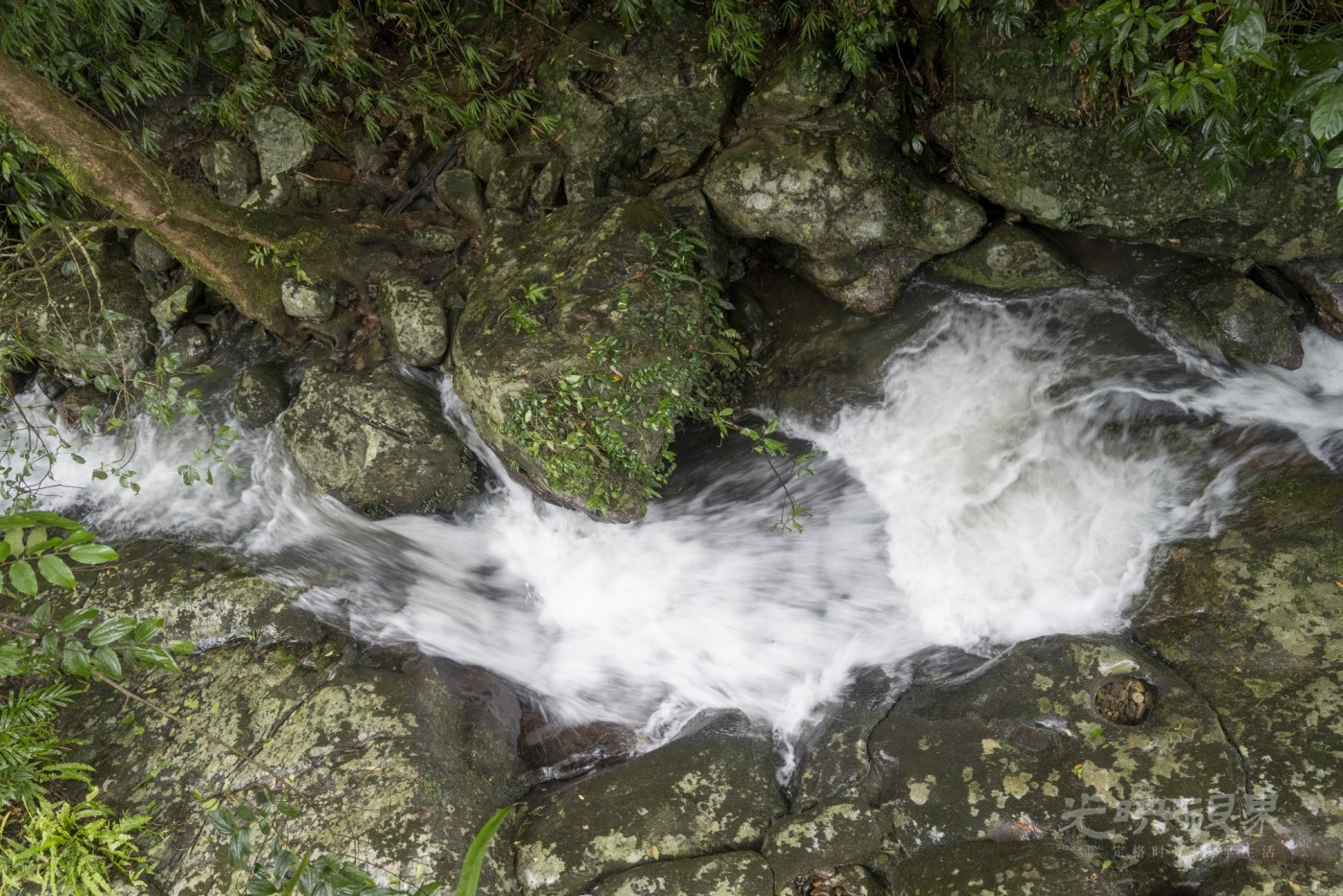 DSC_2578_1.JPG