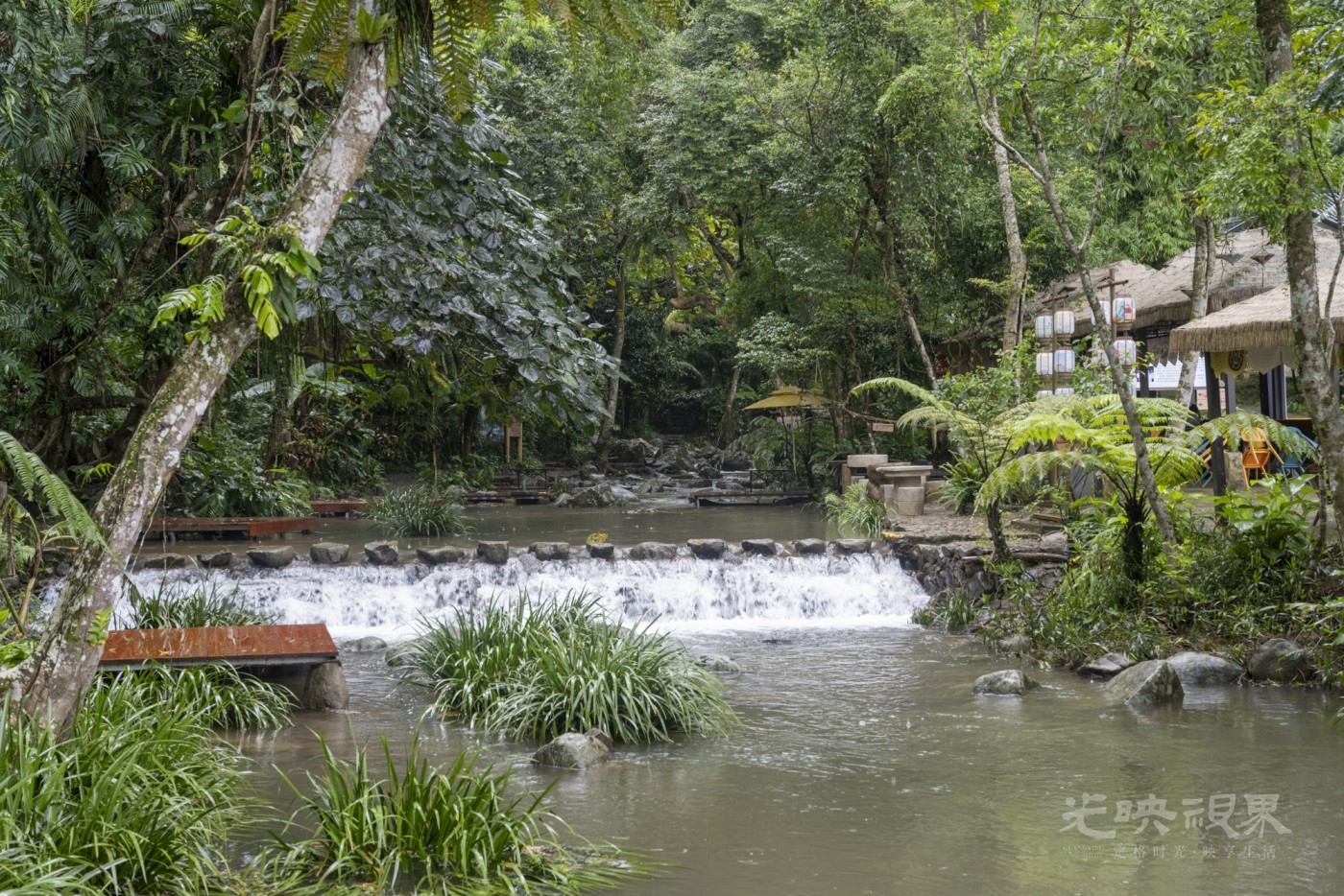 DSC_2580_1.JPG