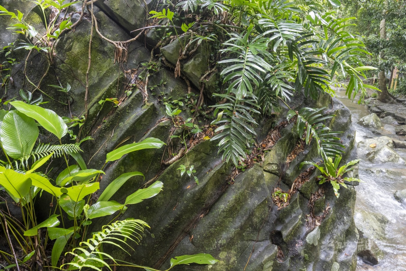 DSC_2586_1.JPG