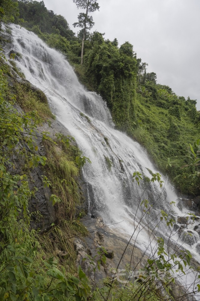 DSC_2603_1.JPG