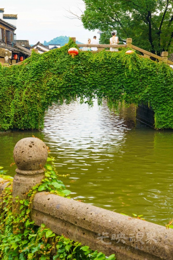 DX_08224.jpg