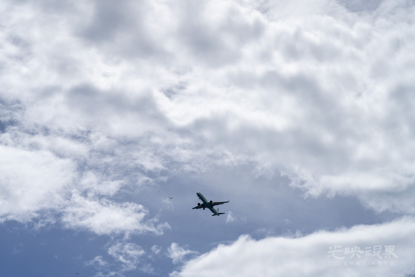 DSC_2689_1.JPG