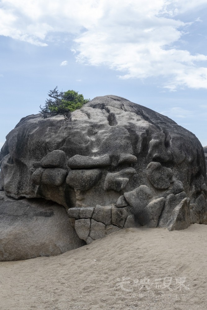 DSC_2712_1.JPG