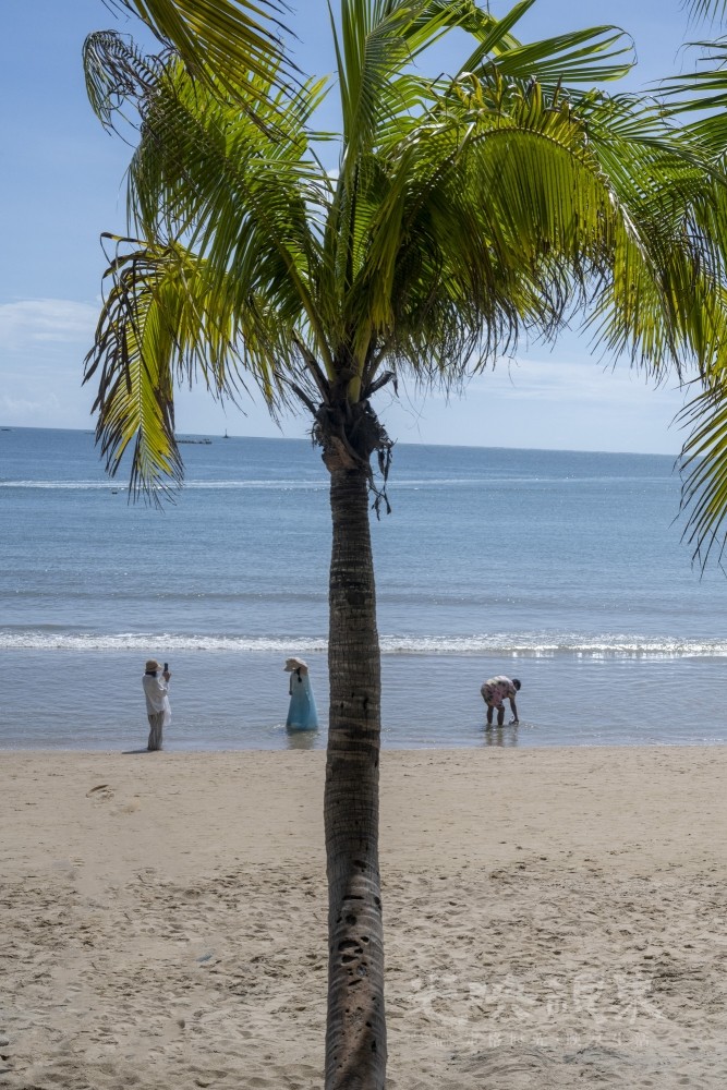 DSC_2722_1.JPG