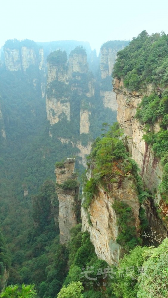 张家界森林公园015.jpg