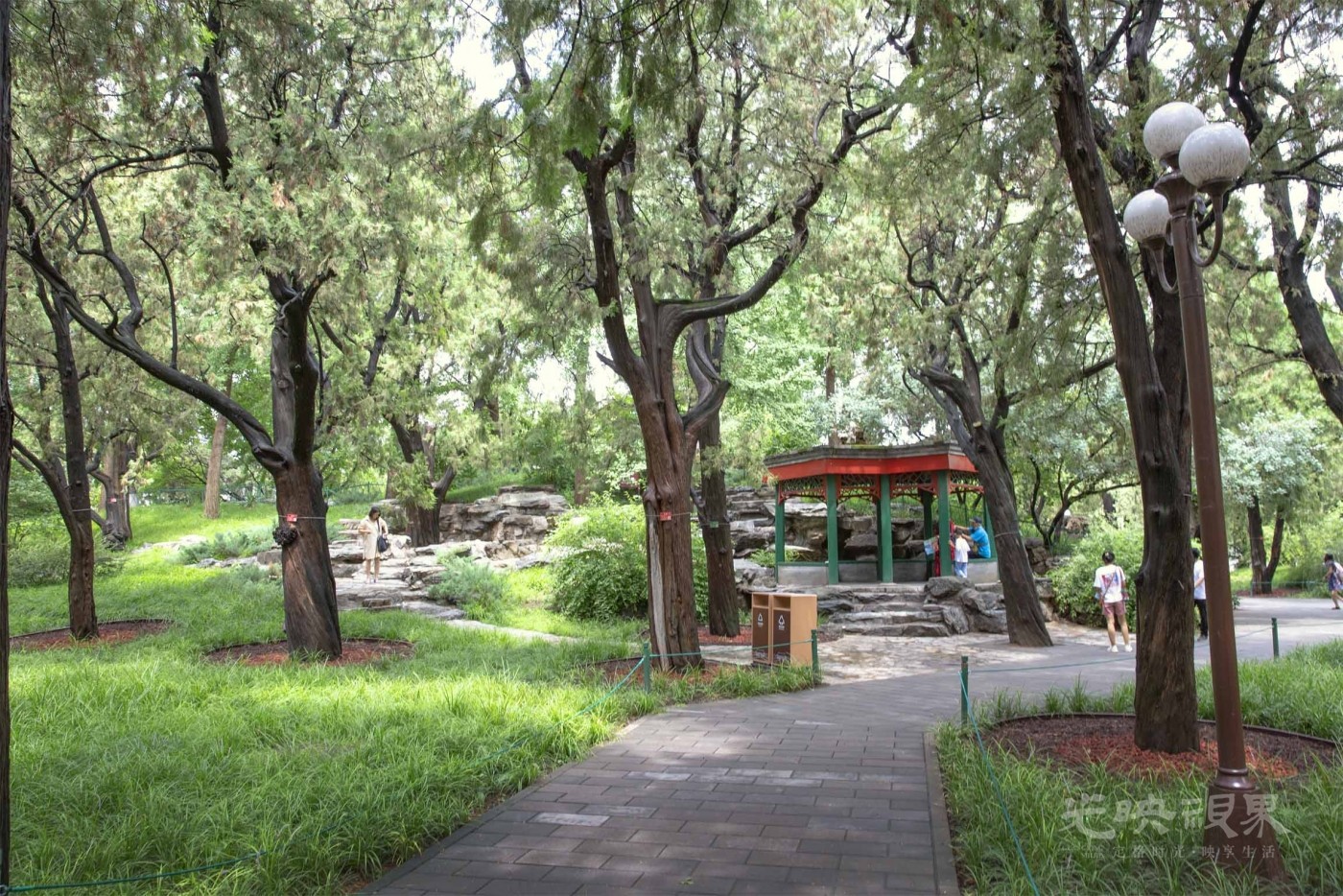 20220728北京中山公园002.jpg