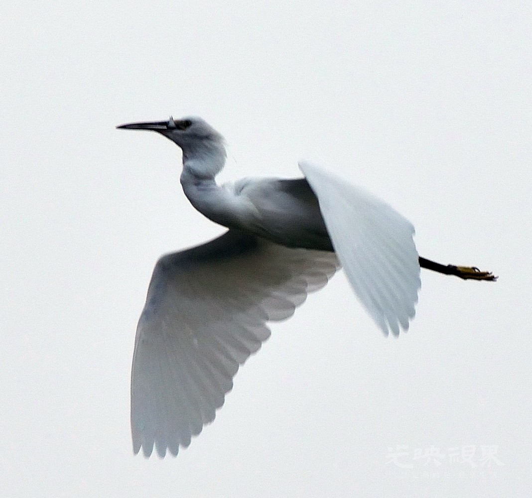 DSC_8648.jpg