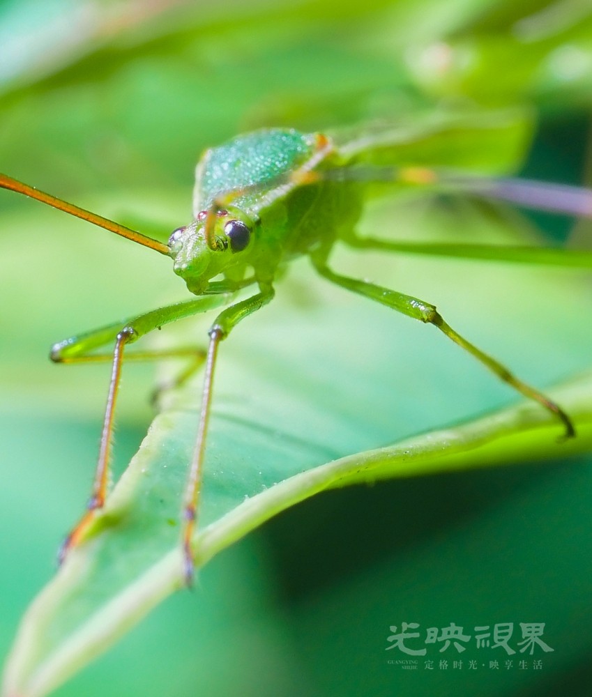 DXA09661.jpg