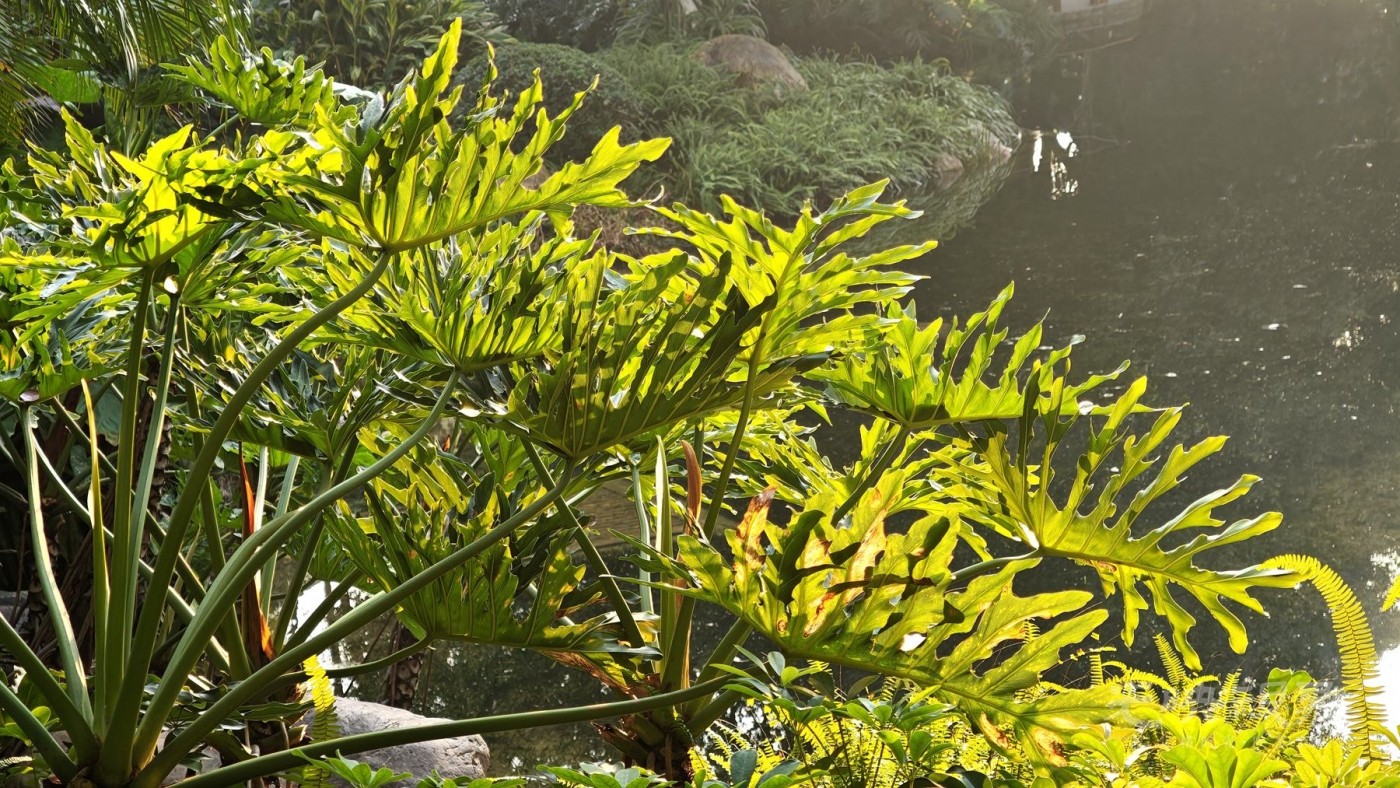 3-IMG_20261007_074733_副本_副本.jpg