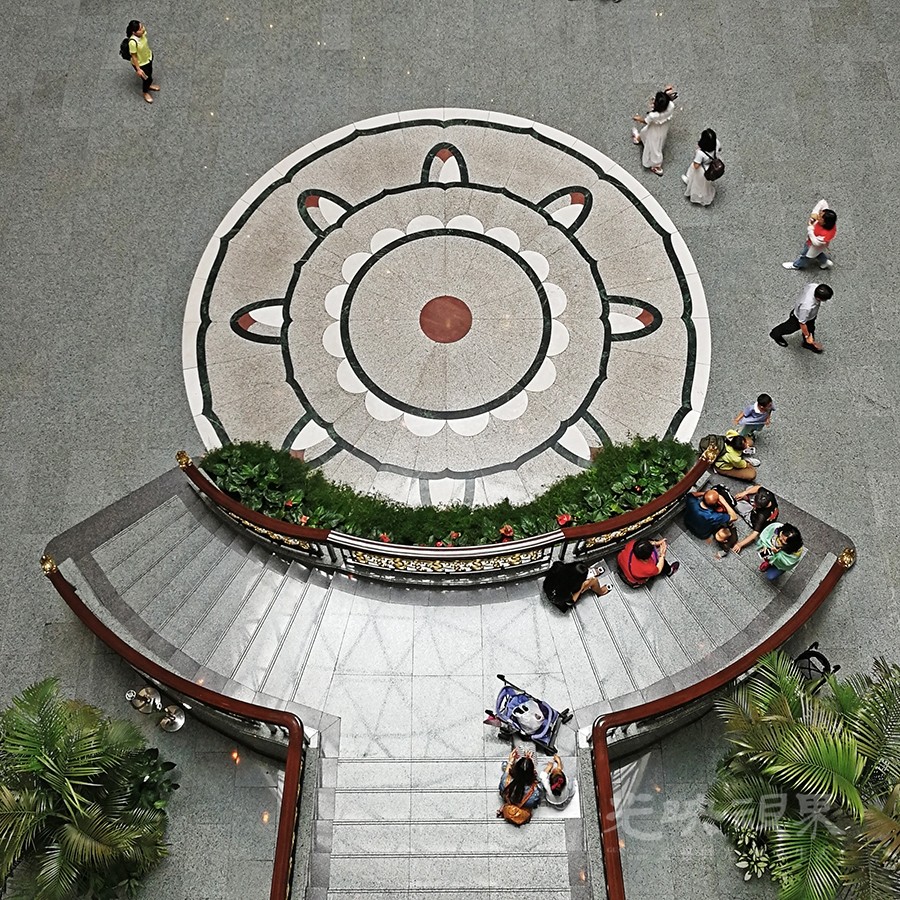 上博之花900.jpg
