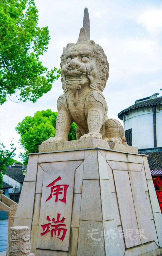 DXA00617.jpg