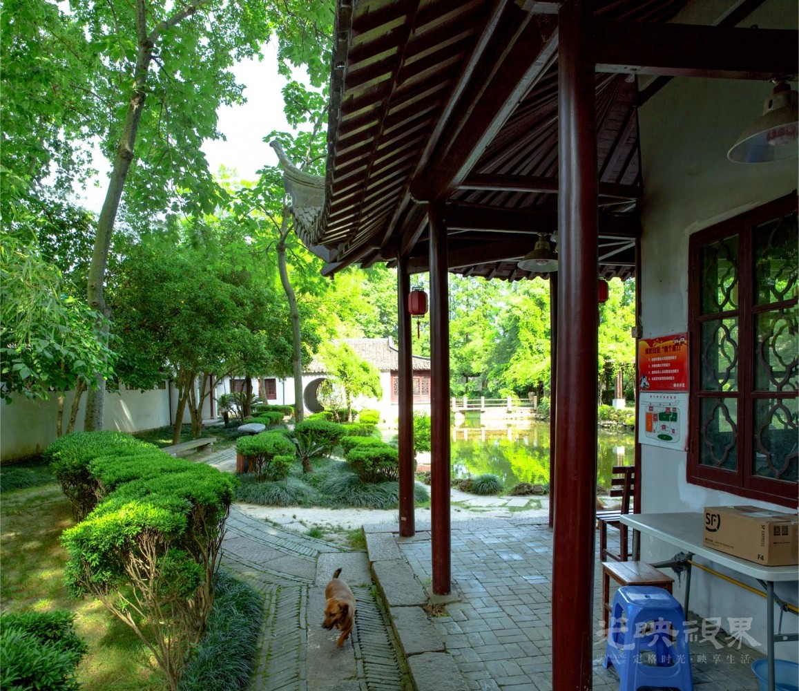 20200520嘉兴王店020.jpg