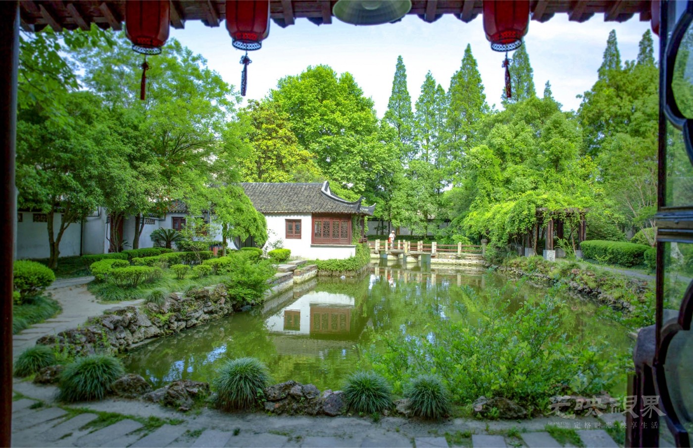20200520嘉兴王店019.jpg