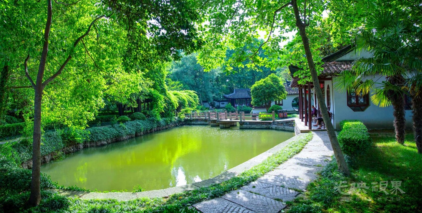 20200520嘉兴王店032.jpg