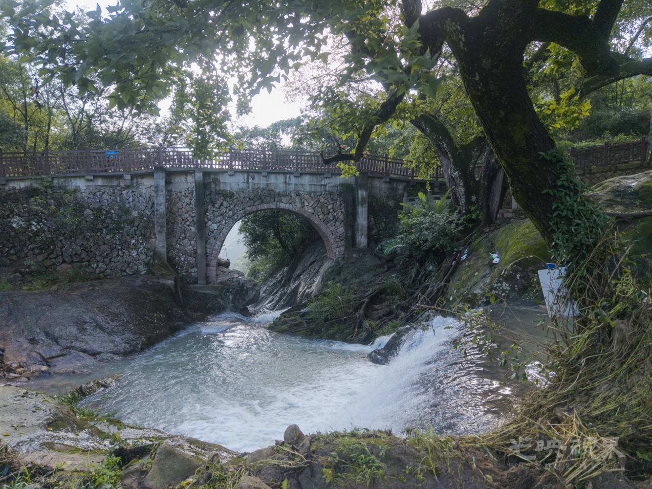 DJI_20260906082616_0004_D_1.JPG