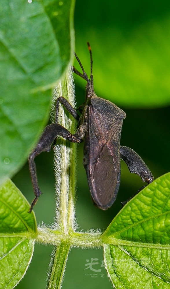 DX1_0093.jpg
