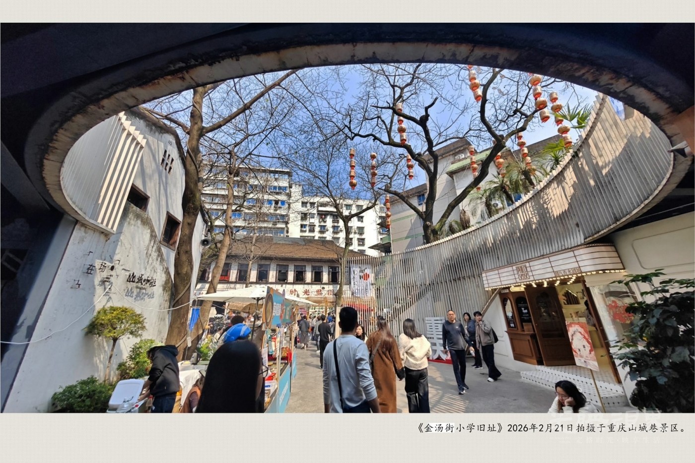 IMG_20260221_134239_副本_副本1_副本.jpg