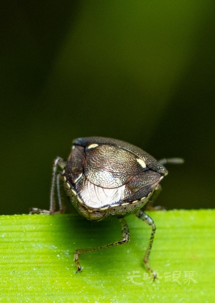 DXA01215.jpg